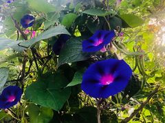 -野三坡清泉山风景区