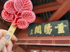 -香山公园
