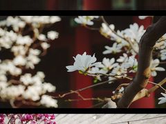 -颐和园