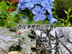 -中国科学院华南植物园