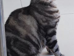 -怪兽屋·羊驼·猫咖·狗咖(俊华广场店)