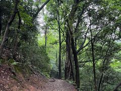 -岳麓山风景名胜区