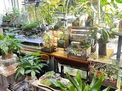 -弗劳尔花艺坊(龙涛店)