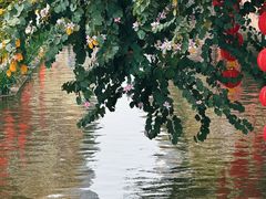 -荔湾湖公园