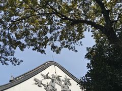 -枫桥景区