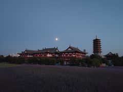 -长春北湖公园