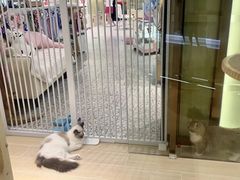 -上海尚嘉中心