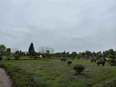 -夏河溪乡野公园
