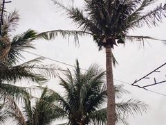 -白沙湾海滩