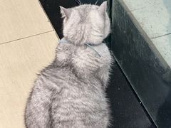 -Oasis绿洲银饰珍珠手作diy(壹方城店)