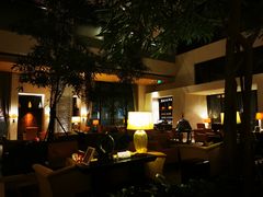 -丽思卡尔顿酒店泳池(金融街店)