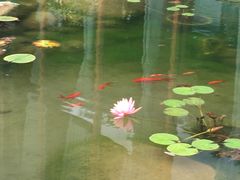 -中铁花水湾温泉酒店(大邑店)