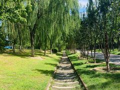 -永定河休闲森林公园