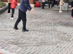 -西苑公园