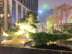 -西安高新洲际酒店•彩丰楼中餐厅