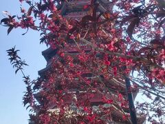 -北京雁栖湖国际会展中心
