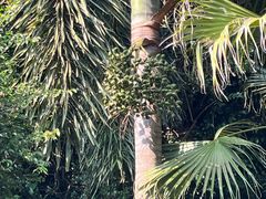 -三亚蜈支洲岛旅游区