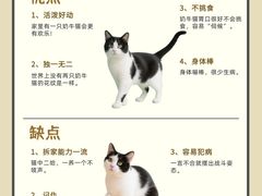-申普宠物医院·眼科·心内科·影像科(普陀分院)