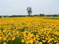 -小洋口旅游度假区