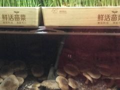 -捞神煲汤火锅(湖滨商业街店)