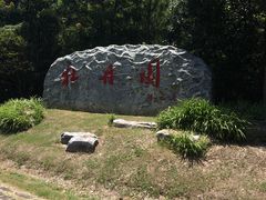 -上海海湾国家森林公园