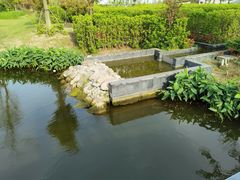 -东平国家森林公园