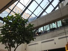 -大树餐厅(红旗街万达店)