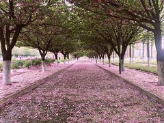 -西北农林科技大学(北校区)