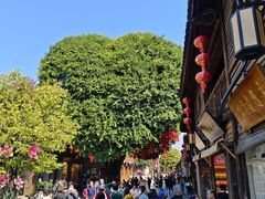 -三坊七巷历史文化街区