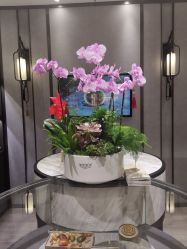 -御珠宫坊(壹海城ONEMALL店)