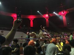 -灵玲国际马戏城