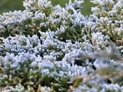 -上海吴淞炮台湾国家湿地公园