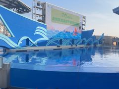 -上海海昌海洋公园