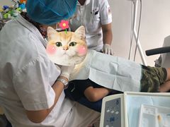 -中国医科大学附属口腔医院(第一门诊)