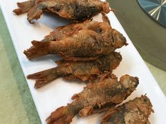香煎禾花鱼-小北江河鲜(新城店)