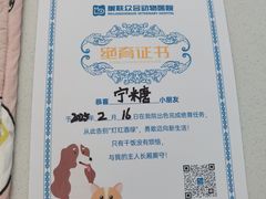 -美联众合动物医院·24h京西诊疗中心