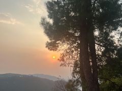 -铁山坪森林公园