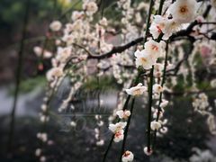 -静安雕塑公园