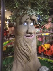 -卡通尼·Safari非洲探索乐园·生日会(金桥国际商业广场店)