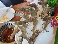 -尚海豆捞(乐虹坊店)