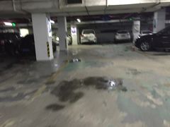 -宽窄巷子景区-外围地面停车场