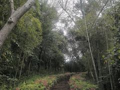 -天目湖涵田度假村