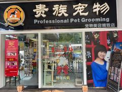 -贵族宠物·宠物美容(三阳路店)