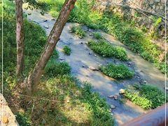 -福建土楼（华安）旅游区•大地土楼群