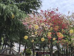 -凤城河风景区