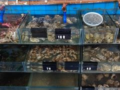 -蓝湾碧波·老字号·疍家非遗海上餐厅