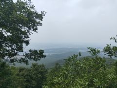 -紫金山索道-售票处