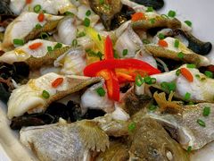 -荔城生鲜盛宴(番禺旗舰店)