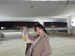 -演武大桥观景平台