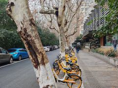 -杭州西湖湖滨银泰亚朵酒店